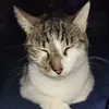 Javier Bailey - @javier.bailey3 - TikTok