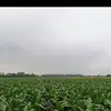 Javier Baltazar - @javier.baltazar27 - TikTok