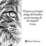 Javier Bass - @bass_javier - Instagram