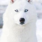 Javier Bedolla - @javier.bedolla.378 - Instagram