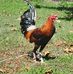 Javier Bedolla - Facebook