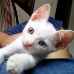 javier  Bejarano  vsrela - @javierbejaranovs - Instagram