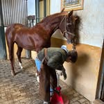 Javier Bejarano Diaz - @javierbejaranodiaz - Instagram