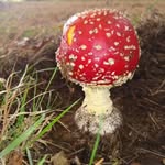 Javier Borquez - @javier.borquez.3538 - Instagram