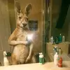 Javier Briones - @javier.briones06 - TikTok