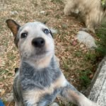 Javier Casanova - @j.jcasanova - Instagram