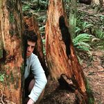 Javier Casanova Navarro - @javier.casanova - Instagram