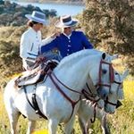 Javier Cobos - @javier_cobos_ - Instagram