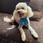 Javier Ignacio Cabrera Cobos - @___cabreracobos - Instagram