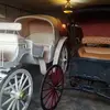 Javier Corona - @javier.corona795 - TikTok