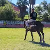 Javier Cuenca - @javier.cuenca651 - TikTok