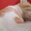 Javier Cuenca - @javier.cuenca7 - TikTok