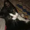 Javier Delgado - @javier.delgado676 - TikTok