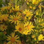 Javier de Marcos - @javier.demarcos.3 - Instagram