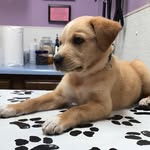 Kobe Fuller - @kobejavierfuller - Instagram