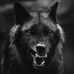 Javier Gurrola - Facebook