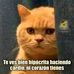 Javier Gurrola - Facebook
