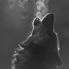 Javier Hess - @javier.aguirre17 - TikTok