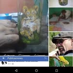 Javier Hesse - @hessejavier - Instagram