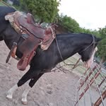 Javier Jaime - @javierjaime10 - Instagram