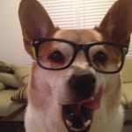 Javier Jones - @javibearwoof - Instagram