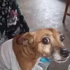 Javier Larios - @javier.larios98 - TikTok