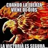 Javier Larios - @javierlarios02 - TikTok