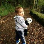 Javier Llerandi Pelaez - @fjavierllerandi - Instagram