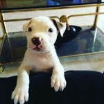 Javier Macedo - @macedo180235 - Instagram