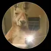 Javier Manriquez - @javier.manriquez3 - TikTok