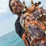 Javier Marron - @capbrownmoon - Instagram