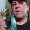 Javier Salas MC Cartney - @javier.salas.mc.c - TikTok