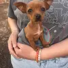 Javier Merlo - @javier.merlo6 - TikTok