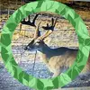 Javier Molinar - @javier.molinar - TikTok