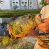 Javier Morillo - @javier.morillo2 - TikTok