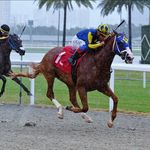 Jonathan Javier Ocasio - @jockey.jocasio - Instagram