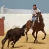 Javier olea - @javier.olea3 - TikTok