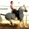 olea Javier - @olea.javier - TikTok