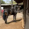 javierolvera269 - @javierolvera269 - TikTok