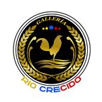 Javier Oropeza - @galleriariocrecido - Instagram