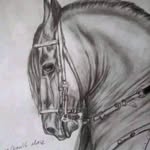 Javier Ortegon - @javier.ortegon.1800 - Instagram