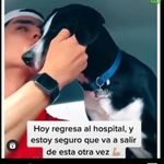 @javier_osegueda_ - Instagram