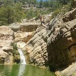 Javier Pardo Bosque - @pardobosque - Instagram