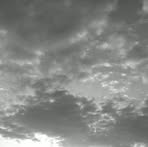 Javier Pasillas - Facebook