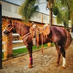 Javier pasillas - @pasillas7591 - Instagram