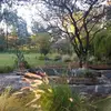 javier perea - @javierperea685 - TikTok