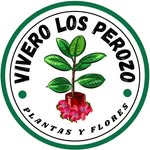 Jose Javier Perozo Cuicar - @vivero.los.perozo - Instagram