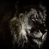 Javier Puga - @javierpuga21 - TikTok