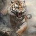 Javier Razo - Facebook