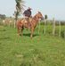 Javier Riveros - Facebook